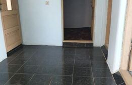 Casa 5 camere, 250 mp, Brestei