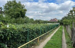 Casa 5 camere, 80 mp, zona Bariera Valcii 