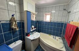 Apartament decomandat zona Brazda lui Novac