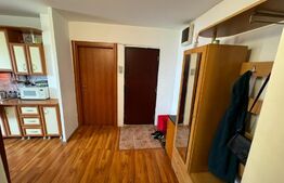 Apartament decomandat zona Brazda lui Novac
