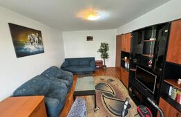 Apartament decomandat zona Brazda lui Novac