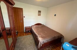 Apartament decomandat zona Brazda lui Novac