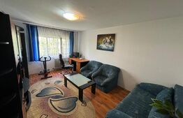 Apartament decomandat zona Brazda lui Novac
