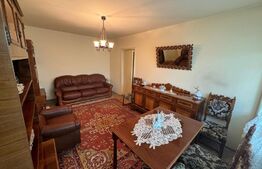 Apartament , 2 camere, 45mp, zona Brazda lui Novac 