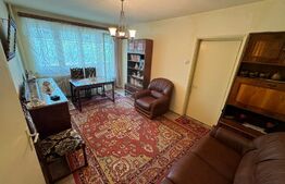 Apartament , 2 camere, 45mp, zona Brazda lui Novac 