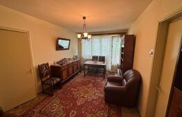 Apartament , 2 camere, 45mp, zona Brazda lui Novac 