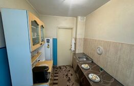 Apartament , 2 camere, 45mp, zona Brazda lui Novac 