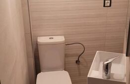 Spatiu Comercial P+E, 150 mp utili, zona Brazda