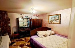 Casa P+1, 145 mp utili și 941 mp teren, zona Bariera Valcii!