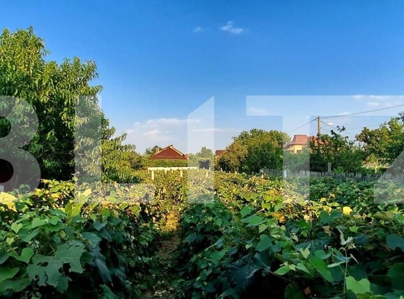 Casa de vânzare 7 camere Bariera Valcii - 146683CV | BLITZ Craiova | Poza15