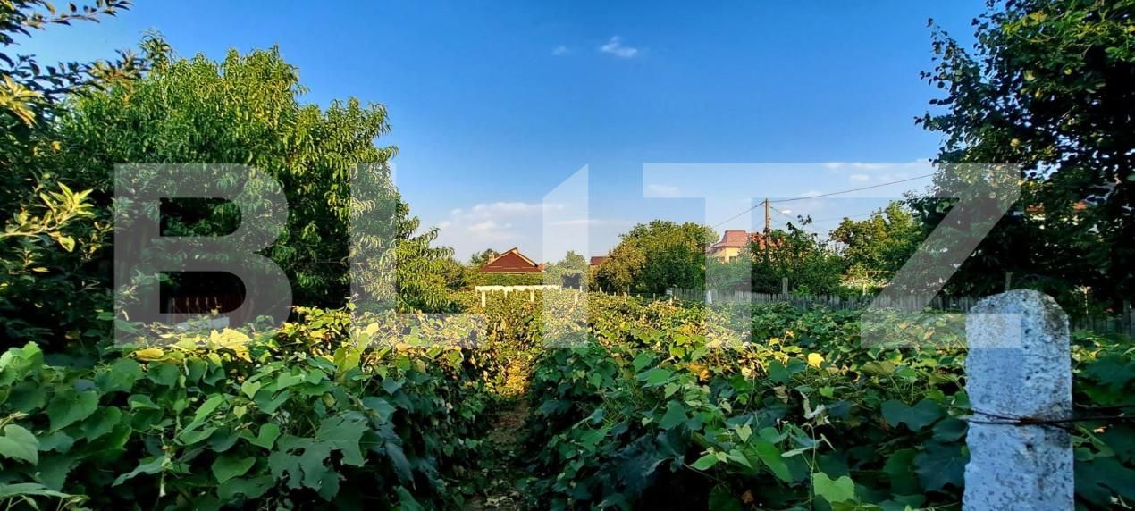 Casa de vânzare 7 camere Bariera Valcii - 146683CV | BLITZ Craiova | Poza15