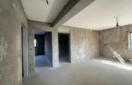 Casa plan parter, 330 mp teren, zona Bariera Vilcii