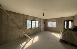 Casa plan parter, 330 mp teren, zona Bariera Vilcii