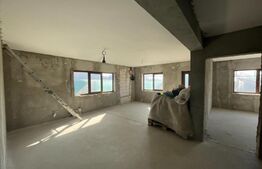 Casa plan parter, 330 mp teren, zona Bariera Vilcii