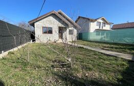 Casa plan parter, 330 mp teren, zona Bariera Vilcii