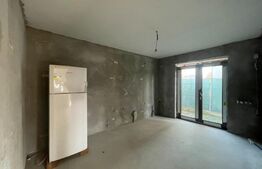 Casa plan parter, 330 mp teren, zona Bariera Vilcii