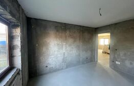 Casa plan parter, 330 mp teren, zona Bariera Vilcii