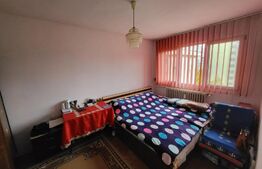 Apartament 2 camere, semidecomandat, cartier Brazda lui Novac