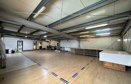 Hale cu spații de producție și birouri 470 mpu, cu teren 550 mp, zona Selgros