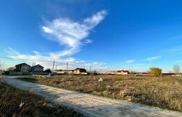 REDUCERE!!! Teren intravilan 9.903 mp, front 90 mp, zona Calea Severinului