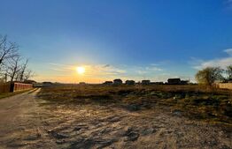 REDUCERE!!! Teren intravilan 9.903 mp, front 90 mp, zona Calea Severinului