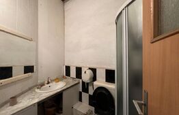 Hală tip atelier și locuință, P + M, 200 mp utili, zona canal - Brestei