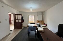 Hală tip atelier și locuință, P + M, 200 mp utili, zona canal - Brestei