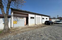 Hală tip atelier și locuință, P + M, 200 mp utili, zona canal - Brestei