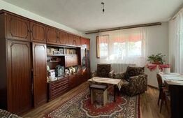 Casa P + 1 (168 mp), teren 1036 mp Cernele/ Calea Brezei