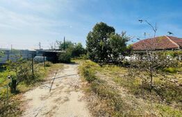 Casa+ teren cu vad, 1580 mp, Calea Severinului