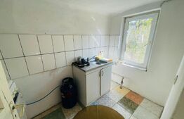 Casa+ teren cu vad, 1580 mp, Calea Severinului