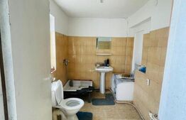Casa+ teren cu vad, 1580 mp, Calea Severinului