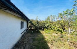 Casa+ teren cu vad, 1580 mp, Calea Severinului