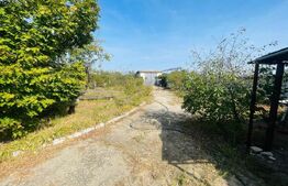 Casa+ teren cu vad, 1580 mp, Calea Severinului