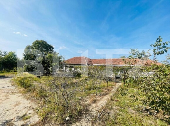 Spațiu comercial de închiriat Exterior Vest - 147029SIC | BLITZ Craiova | Poza1