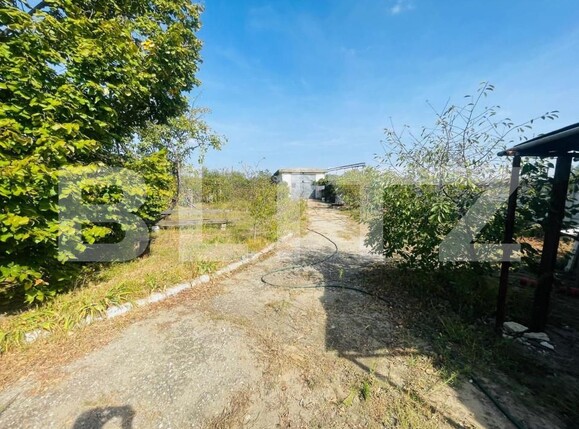 Spațiu comercial de închiriat Exterior Vest - 147029SIC | BLITZ Craiova | Poza3