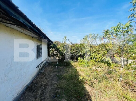 Spațiu comercial de închiriat Exterior Vest - 147029SIC | BLITZ Craiova | Poza5