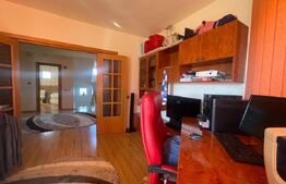 Casa P+E+M, 310 mp utili, 550 mp teren, Drumul Muntenilor
