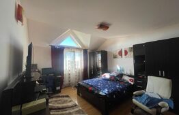 Casa P+E+M, 310 mp utili, 550 mp teren, Drumul Muntenilor