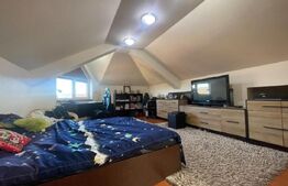 Casa P+E+M, 310 mp utili, 550 mp teren, Drumul Muntenilor