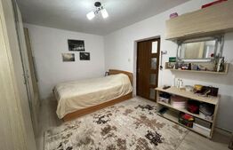 Casa plan parter, 5 camere, 350 mp teren, Bariera Vilcii