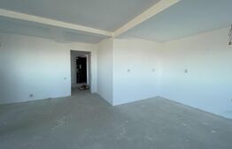 Proprietate P+2+M cu 7 apartamente, 500 mp utili, zona Lapus