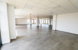 Hale si clădire birouri clasa A, 3425 mp, 7350 mp teren, zona Aeroport