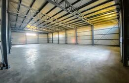 Hale si clădire birouri clasa A, 3425 mp, 7350 mp teren, zona Aeroport