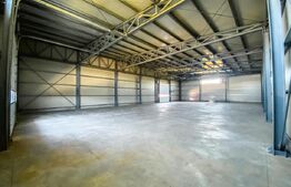 Hale si clădire birouri clasa A, 3425 mp, 7350 mp teren, zona Aeroport