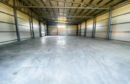 Hale si clădire birouri clasa A, 3425 mp, 7350 mp teren, zona Aeroport