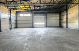 Hale si clădire birouri clasa A, 3425 mp, 7350 mp teren, zona Aeroport