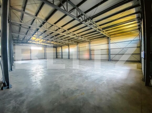 Spațiu industrial de închiriat Aeroport - 147082SII | BLITZ Craiova | Poza9