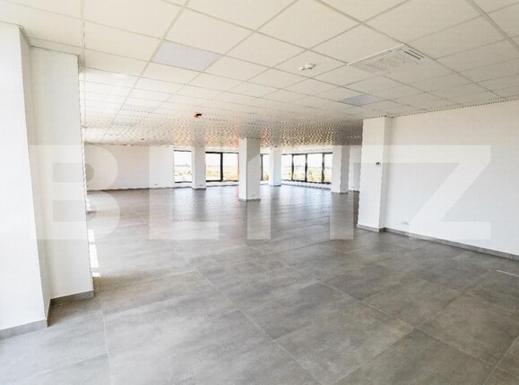 Spațiu industrial de închiriat Aeroport - 147082SII | BLITZ Craiova | Poza3