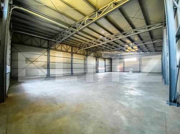 Spațiu industrial de închiriat Aeroport - 147082SII | BLITZ Craiova | Poza10